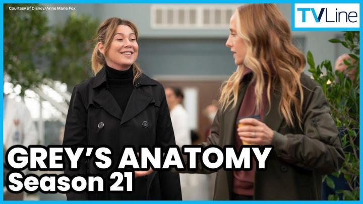 حصرياً | مسلسل Grey’s Anatomy الموسم 21 مترجم كامل بجودة عالية