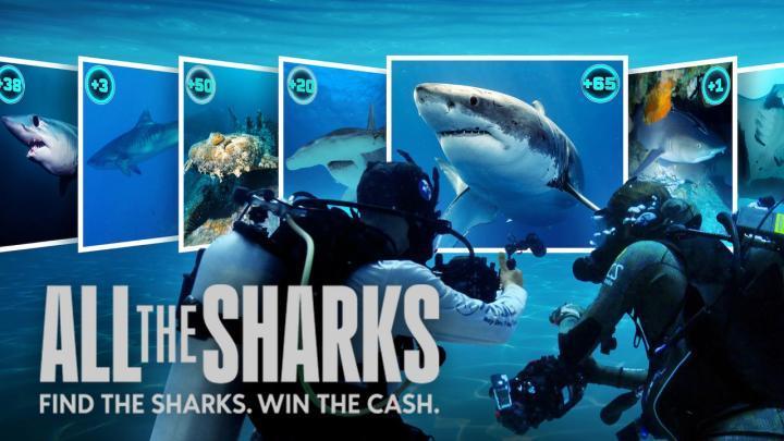 حصرياً | مسلسل All the Sharks الموسم الاول الحلقة 6 والاخيرة بجودة عالية
